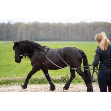 Longues rênes Imperial Riding Free Ride Longues rênes Imperial Riding Free Ride