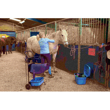 Servante Roulante Gm et Malle Box Pro Xl La Gée Servante Roulante Gm et Malle Box Pro Xl La Gée