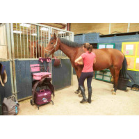 Servante Roulante Gm et Malle Box Pro Xl La Gée Grenat Bordeaux