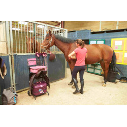 Servante Roulante Gm et Malle Box Pro Xl La Gée Grenat Bordeaux