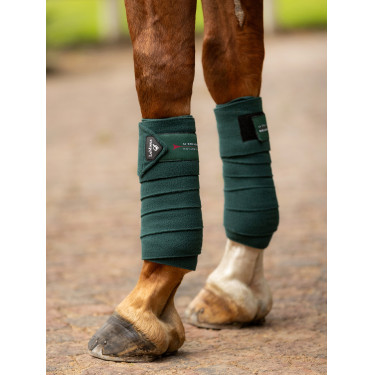 Bandes de polo LeMieux Luxury Bandes de polo LeMieux Luxury