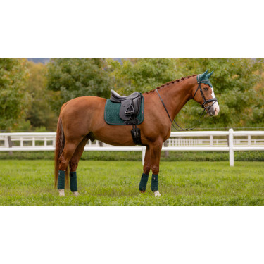 Bandes de polo LeMieux Luxury Bandes de polo LeMieux Luxury