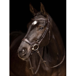 Bridon LeMieux Arika muserolle allemande Marron / argent
