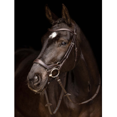 Bridon LeMieux Arika muserolle allemande Marron / argent