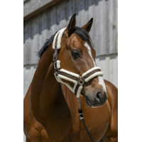 Licol Norton Cosy Chocolat