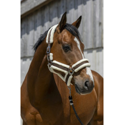 Licol Norton Cosy Licol Norton Cosy