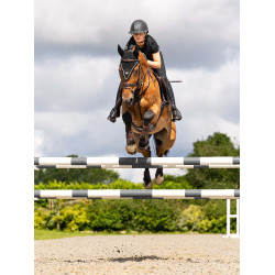 Bonnet long LeMieux Puissance Noir