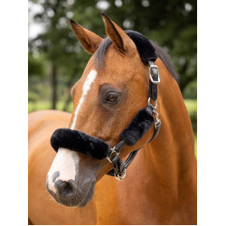 Fourreau de licol LeMieux Simuwool Noir