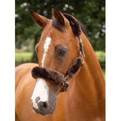 Fourreau de licol LeMieux Simuwool Marron