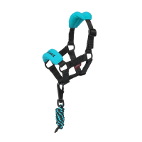 Licol vogue pour jouet Mini Poney LeMieux Azure Bleu Licol vogue pour jouet Mini Poney LeMieux Azure Bleu