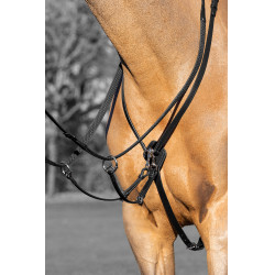 Martingale à anneaux Kudos LeMieux Noir / argent