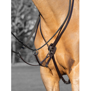 Martingale à anneaux Kudos LeMieux Martingale à anneaux Kudos LeMieux