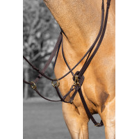 Martingale à anneaux Kudos LeMieux Noir / argent Martingale à anneaux Kudos LeMieux Noir / argent