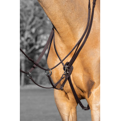 Martingale à anneaux Kudos LeMieux Havane / argent Marron