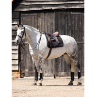Tapis de travail LeMieux Dresssage Noir Tapis de travail LeMieux Dresssage Noir