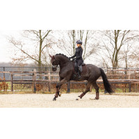 Tapis LeMieux Crystal Suede Dressage Noir Tapis LeMieux Crystal Suede Dressage Noir