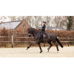 Tapis LeMieux Crystal Suede Dressage Marron