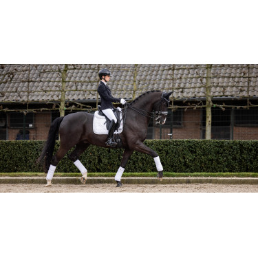 Tapis LeMieux Crystal Suede Dressage Tapis LeMieux Crystal Suede Dressage