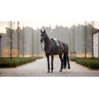 Tapis LeMieux Puissance Suede Dressage Square Marron Tapis LeMieux Puissance Suede Dressage Square Marron