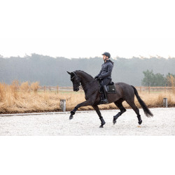 Tapis LeMieux Puissance Suede Dressage Square Noir Tapis LeMieux Puissance Suede Dressage Square Noir