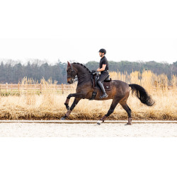 Tapis LeMieux Puissance Suede Dressage Square Marron