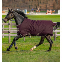 Couverture Horseware Amigo Hero Ripstop Lite 0g Figue