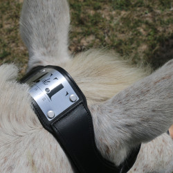 Bridon à pont Raphaël T de T Noir