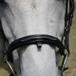 Bridon à pont Raphaël T de T Noir