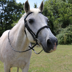 Bridon à pont Raphaël T de T Noir