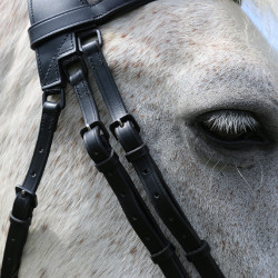 Bridon à pont Raphaël T de T Noir