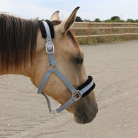 Licol mouton T de T synthétique Beige / naturel