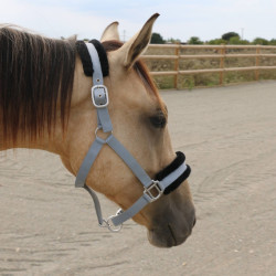 Licol mouton T de T synthétique Gris / noir