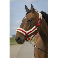Licol Equithème Nylon Mouton Rouge / blanc