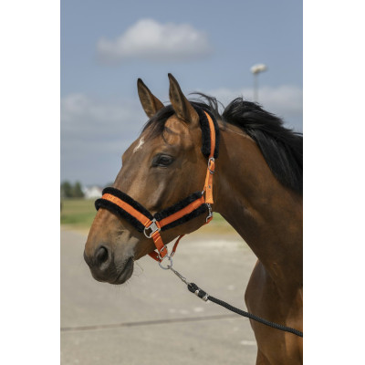 Licol Equithème Nylon Mouton Orange / noir