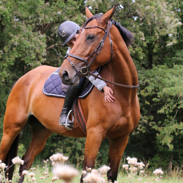 Tapis Paddock Sports Prem's Ecusson Tapis Paddock Sports Prem's Ecusson