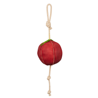 Jouet pour chevaux LeMieux Pomme