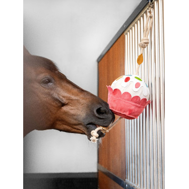 Jouet pour chevaux LeMieux Cupcake Jouet pour chevaux LeMieux Cupcake