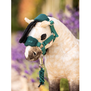 Mini Poney LeMieux Dream Mini Poney LeMieux Dream