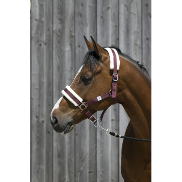 Licol Riding World mouton synthétique Licol Riding World mouton synthétique