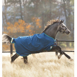 Couverture Horseware Rhino Original Turnout 0g