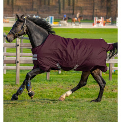 Couverture Horseware Amigo Hero Ripstop Turnout doublée polaire 50g