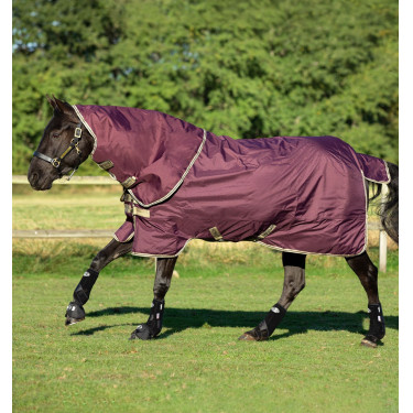 Couverture Horseware Amigo Hero Ripstop Plus avec couvre Cou 0g Figue / marine