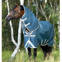 Couverture Horseware Amigo AmEco 12 Plus 100g Sarcelle / gris Bleu Couverture Horseware Amigo AmEco 12 Plus 100g Sarcelle / gris Bleu