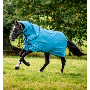 Couverture Horseware Amigo Hero 900 Revive Plus 200g Couverture Horseware Amigo Hero 900 Revive Plus 200g