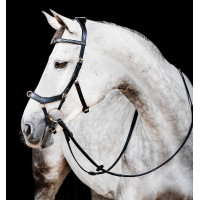 Bridon Horseware Micklem 2 Multi Noir