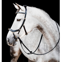 Bridon Horseware Micklem 2 Multi