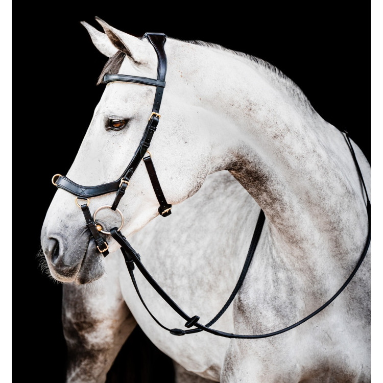 Bridon Horseware Micklem 2 Multi Bridon Horseware Micklem 2 Multi