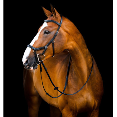Bridon Horseware Micklem 2 Deluxe Competition rênes caoutchouc Bridon Horseware Micklem 2 Deluxe Competition rênes caoutchouc