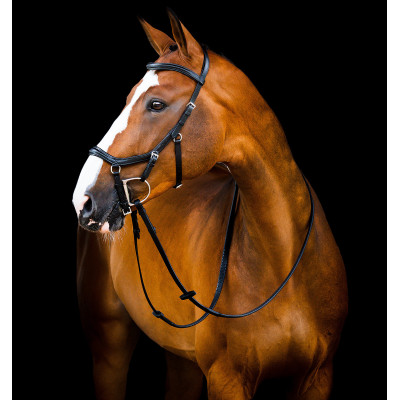 Bridon Horseware Micklem 2 Deluxe Competition Noir