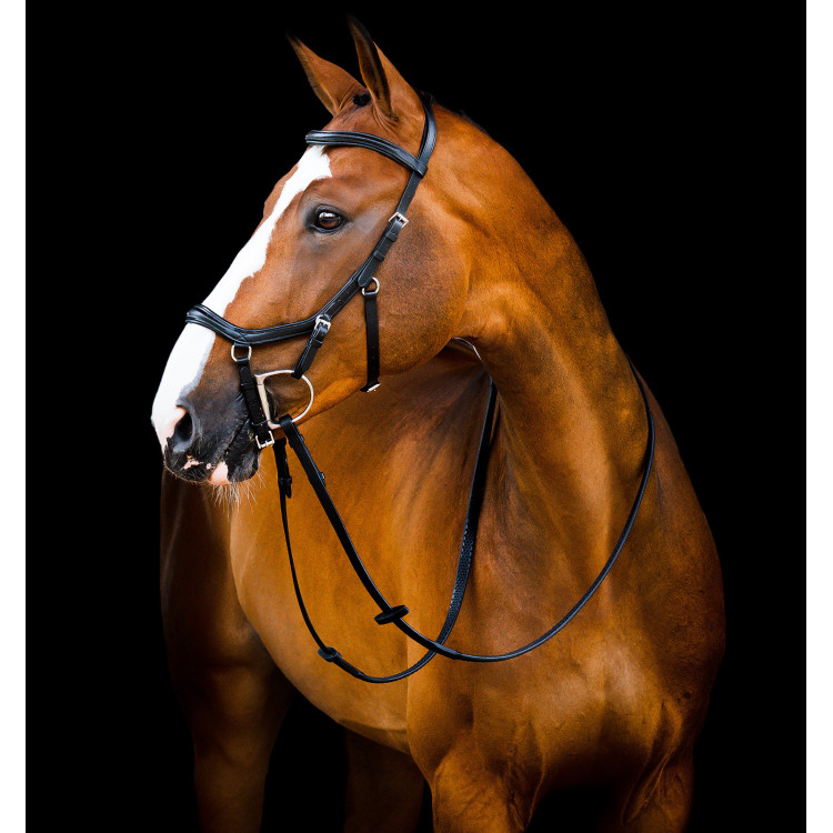 Bridon Horseware Micklem 2 Deluxe Competition